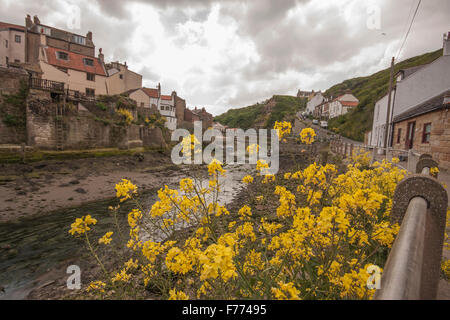 Malerische Aussicht auf Staithes Fischerdorf in North Yorkshire, England mit Wildblumen und Beck führt zum Hafen Stockfoto