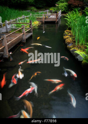 Koi und Iris Betten-Pfad. Japanische Gärten, Oregon Stockfoto