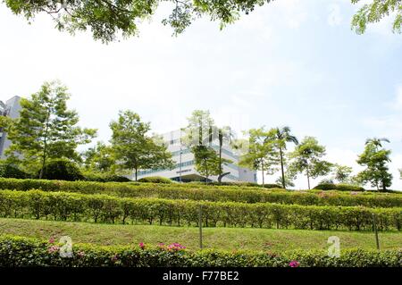 Grüner Streifen prasselten Landschaft des Aufbaus und Treppensteigen zu konfrontieren Stockfoto