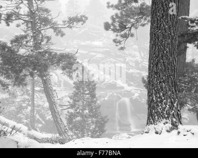 Glen Alpine fällt Minuten nach Neuschnee. Lake Tahoe, Kalifornien Stockfoto