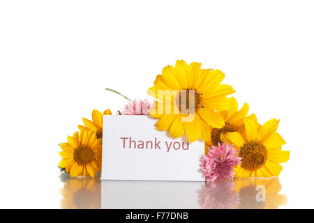 Blumen-Gelbes Gänseblümchen Stockfoto