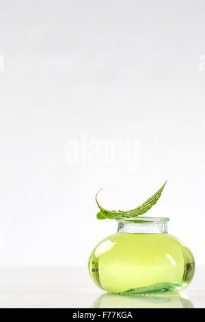 Pflanzliche Arzneimittel mit Minze Stockfoto