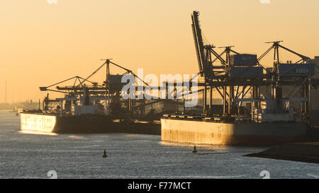 Nordsee, MG Mut und Cape Dover im Rotterdamer Hafen bei Sonnenaufgang mit Schifffahrt, Bulk Container-Schlepper Stockfoto