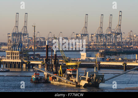 Nordsee, zerrt Bulk-Containern an Bord eines Schiffes, die Ankunft im Hafen von Rotterdam bei Sonnenaufgang mit Versand, Kai Krane Stockfoto