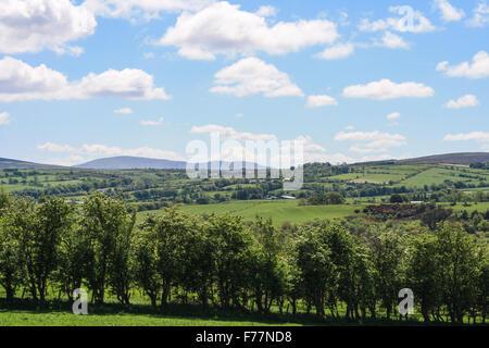 Einen herrlichen Blick auf grünen Wiesen mit sanften Hügeln und Bergen im Hintergrund von der Autobahn A6 in Nordirland. Stockfoto