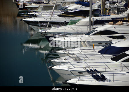 Markt-White und Navy Blau Sportboote im Elizabeth Marina, St. Helier, Jersey, Kanalinseln festgemacht. Stockfoto