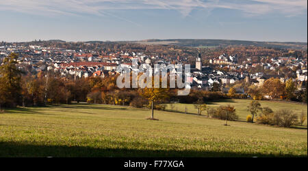 Panorama der Stadt Plauen in Sachsen von Wiese mit isolierten Baum im schönen Herbsttag Stockfoto