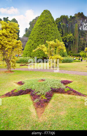 Sri Lanka - Kandy, Peradeniya botanische Garten Stockfoto