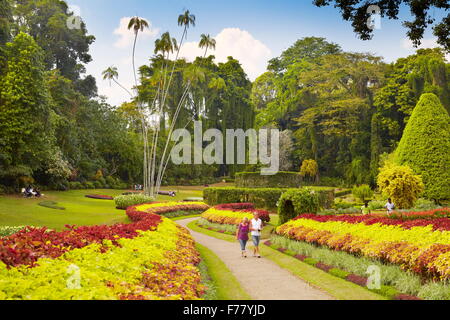 Sri Lanka - Kandy, Peradeniya botanische Garten Stockfoto
