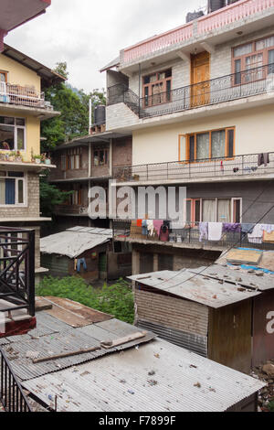 Manali, Spiti Valley, Himachal Pradesh - Cannabis wildwachsenden zwischen Wohngebäuden Stockfoto