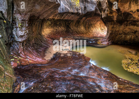 Licht aus um die Ecke in der einzigartigen U-Bahn Höhle durch die linke Gabel des North Creek im Zion Nationalpark, Utah geschnitzt. Stockfoto