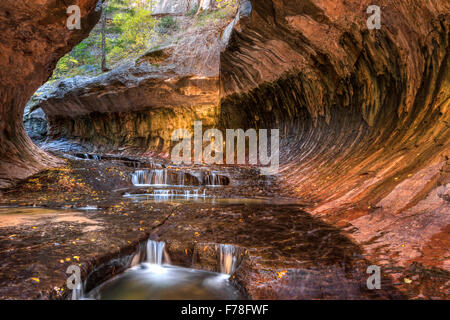 Blick flussaufwärts auf kaskadierende Pools in der einzigartigen U-Bahn Höhle durch die linke Gabel des North Creek im Zion Nationalpark, Utah geschnitzt. Stockfoto