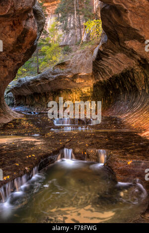 Blick flussaufwärts auf kaskadierende Pools in der einzigartigen U-Bahn Höhle durch die linke Gabel des North Creek im Zion Nationalpark, Utah geschnitzt. Stockfoto