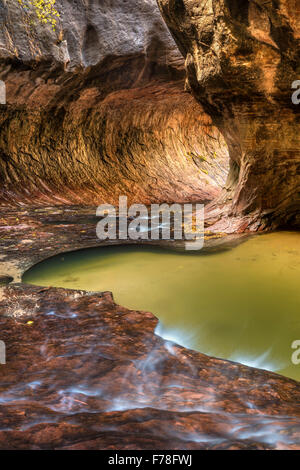 Licht aus um die Ecke in der einzigartigen U-Bahn Höhle durch die linke Gabel des North Creek im Zion Nationalpark, Utah geschnitzt. Stockfoto