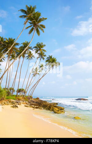 Sri Lankas Küste - Koggala in der Nähe von Galle, Asien Stockfoto