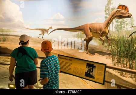 Dinosaurier Staatspark in Rocky Hill CT Stockfoto