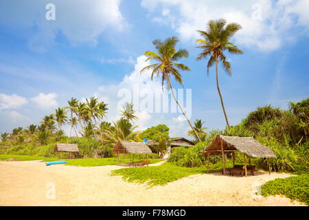 Sri Lanka Palm Beach in der Nähe von Koggala, Asien Stockfoto