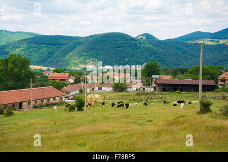 Schöne ländliche Ansichten der Häuser und Kühe in den Bergen Stockfoto