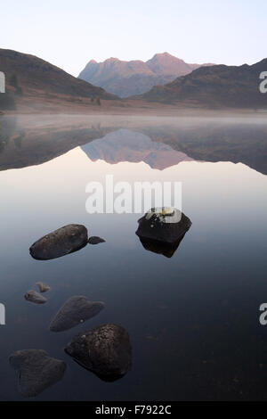 Eine herbstliche Ansicht von Langdale Pikes, Blea Tarn in den Lake District National Park im Morgengrauen entnommen. Stockfoto