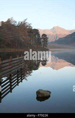 Eine herbstliche Ansicht von Langdale Pikes, Blea Tarn in den Lake District National Park im Morgengrauen entnommen. Stockfoto