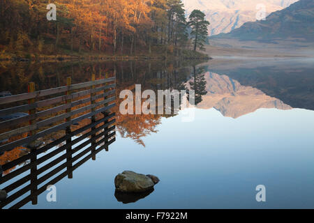 Eine herbstliche Ansicht von Langdale Pikes, Blea Tarn in den Lake District National Park im Morgengrauen entnommen. Stockfoto