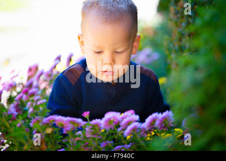 18 Monate alte Junge sitzt zwischen Blumen. Stockfoto