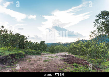 Natur-Berge-Landschaft-Beauty-Welt. Dramatischer Himmel. Mon jam, Chiang Mai, Thailand. Beauty-Welt. Stockfoto