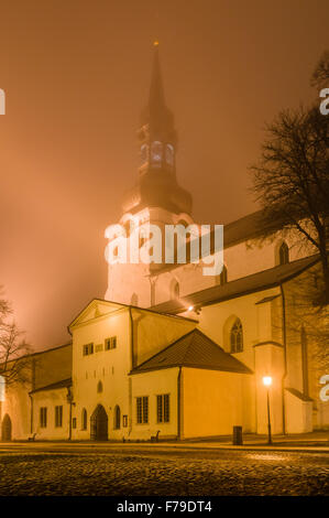 Die Kathedrale von Saint Mary the Virgin in Tallinn (Dom), Estland. Nacht Winter Blick in dichtem Nebel. Stockfoto