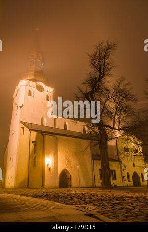 Str. Marys Kathedrale (Dom) in frostigen nebligen Nacht, Tallinn, Estland. Weitwinkelaufnahme Stockfoto