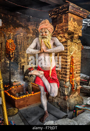 Shaiva Sadhu (Heiliger) mit traditionellen langen Bart Übungen in Pashupatinath Tempel Stockfoto