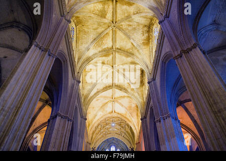 Gewölbe des Mittelschiffs, Kathedrale von Sevilla, Sevilla, Andalusien, Spanien Stockfoto