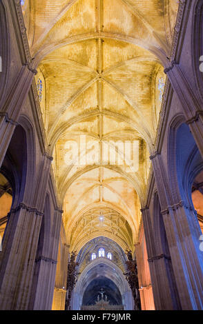 Gewölbe des Mittelschiffs, Kathedrale von Sevilla, Sevilla, Andalusien, Spanien Stockfoto