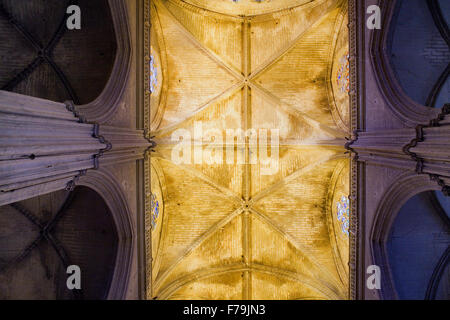 Gewölbe des Mittelschiffs, Kathedrale von Sevilla, Sevilla, Andalusien, Spanien Stockfoto