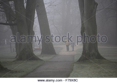 Coburg, Deutschland. 27. November, 2015. Aufnahme eines Paares, das im dichten Nebel durch Wälder spaziert Kredit: Clearpix/Alamy Live News Stockfoto