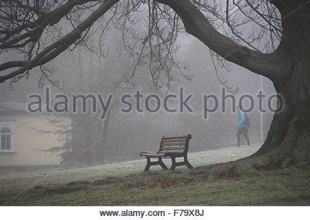 Coburg, Deutschland. 27. November 2015. Ein Grabtuch aus dichtem Nebel stieg über Nacht auf Nordbayern ab, als die Wintertemperaturen zu sinken begannen. Kredit: Reallifephotos/Alamy Live Nachrichten Stockfoto