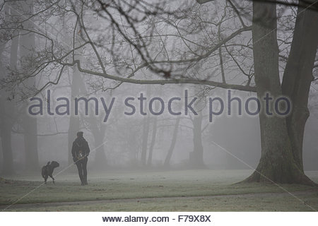 Coburg, Deutschland. 27. November, 2015. Aufnahme einer jungen Frau und eines Hundes, die im Nebel wandern Quelle: Clearpix/Alamy Live News Stockfoto