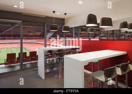 Loge und Blick auf Spielfeld bei Emirates Stadium, Arsenal FC 2013, Design bis zum Jahr 2020