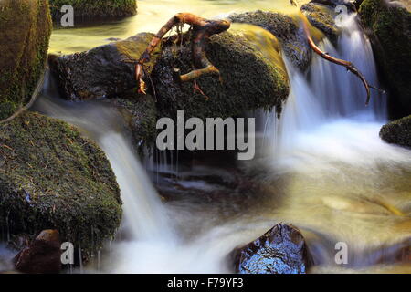 Detail an einem Bergbach, Wasserfall zwischen den Felsen Stockfoto