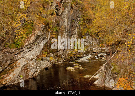 Glen Affric im Herbst Stockfoto