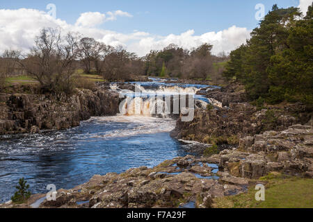 Low Force Wasserfälle auf dem River Tees bei Bowlees, Teesdale, England, UK Stockfoto