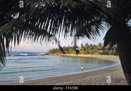 Strand im Hyatt Dorado Beach Resort in Puerto Rico Nordküste Stockfoto