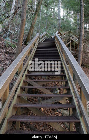 Treppe im Tallulah Schlucht State Park in North Georgia Stockfoto