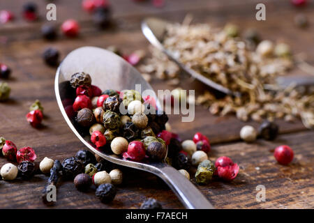 Nahaufnahme eines Löffels mit einer Vielzahl von verschiedenen Pfefferkörner, wie rosa Pfeffer, schwarzer Pfeffer, Paprika oder weißer Pfeffer, auf eine Stockfoto