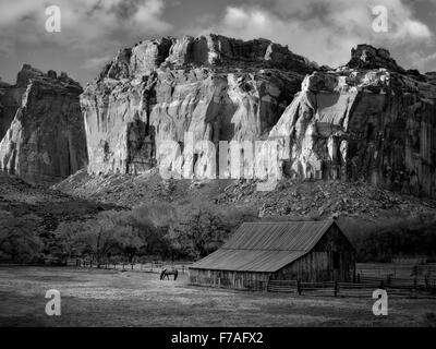 Gifford Bauernhof Stall und Pferd. Fruita, Capitol Reef National Park, Utah Stockfoto