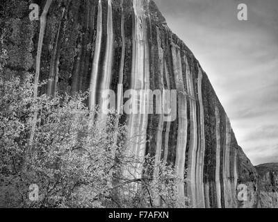 Wüste Lack Felsformation am Capitol Reef National Park, Utah Stockfoto