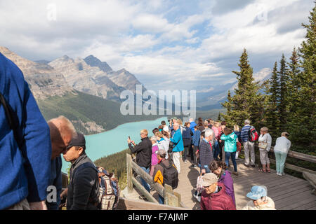 Touristen am Peyto Lake, einem von Gletschern gespeisten See im Banff National Park in den Kanadischen Rockies, Alberta, Kanada Stockfoto