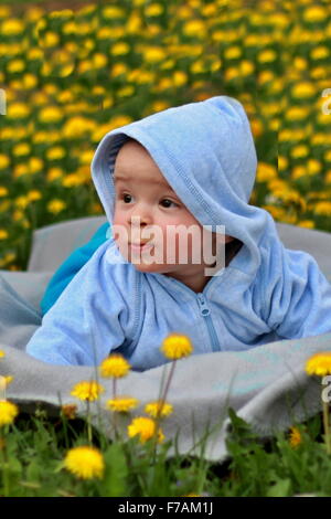 Niedliche Baby liegend auf einer Decke in der Löwenzahn. Stockfoto