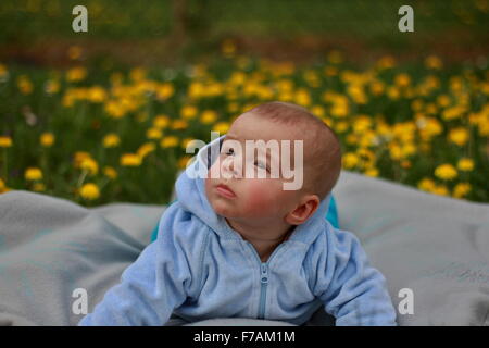 Niedliche Baby liegend auf einer Decke in der Löwenzahn. Stockfoto