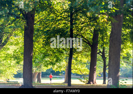 Läufer im Park - Luitpoldpark, München, Bayern Stockfoto