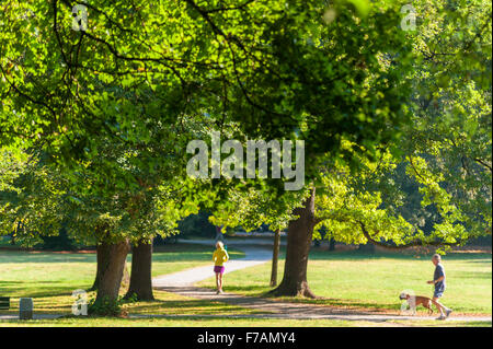 Läufer im Park - Luitpoldpark, München, Bayern Stockfoto
